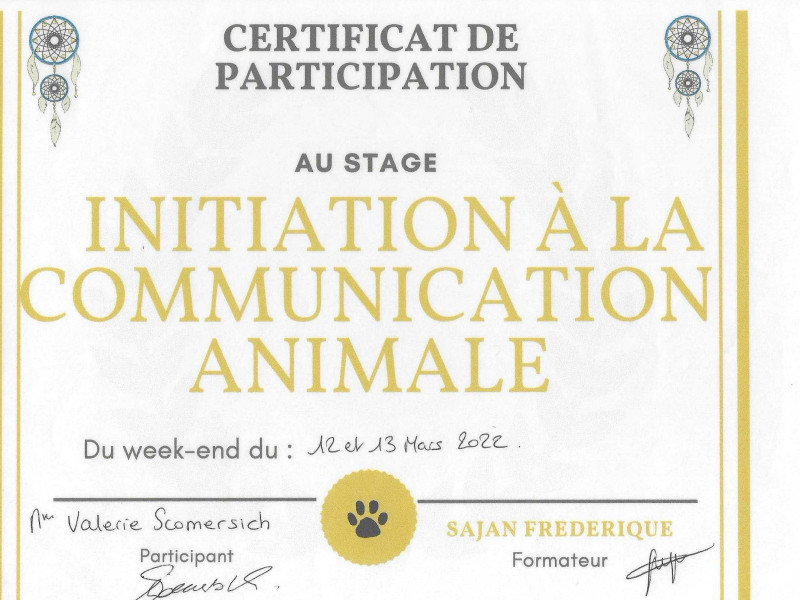 Certificat de Participation au stage d'initiation à la communication animale