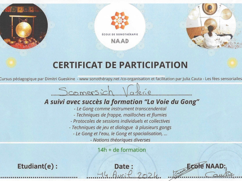 Certificat de participation La Voie du Gong