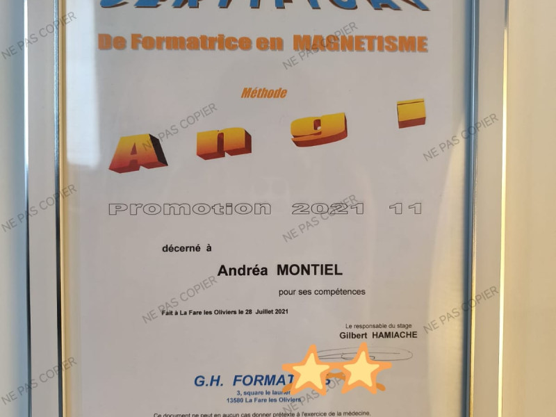 Formatrice en Magnétisme Méthode Angi
