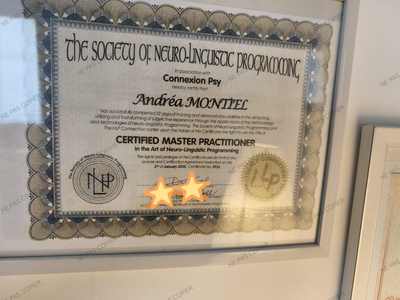 Maître Praticien PNL