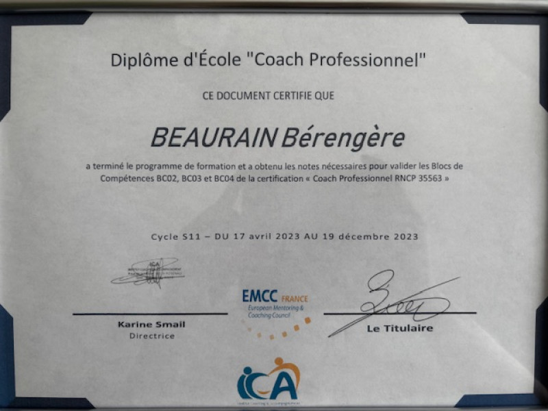 Diplôme d'Ecole "Coach professionnel"