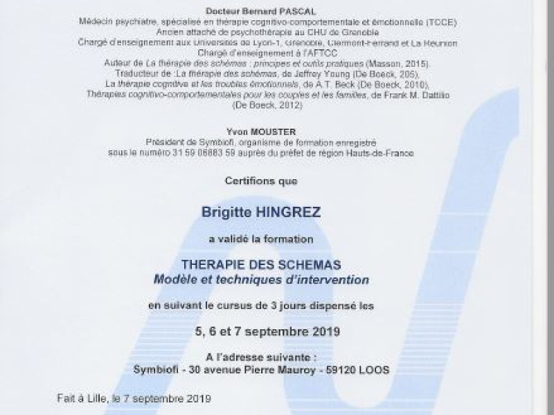 thérapies des schémas