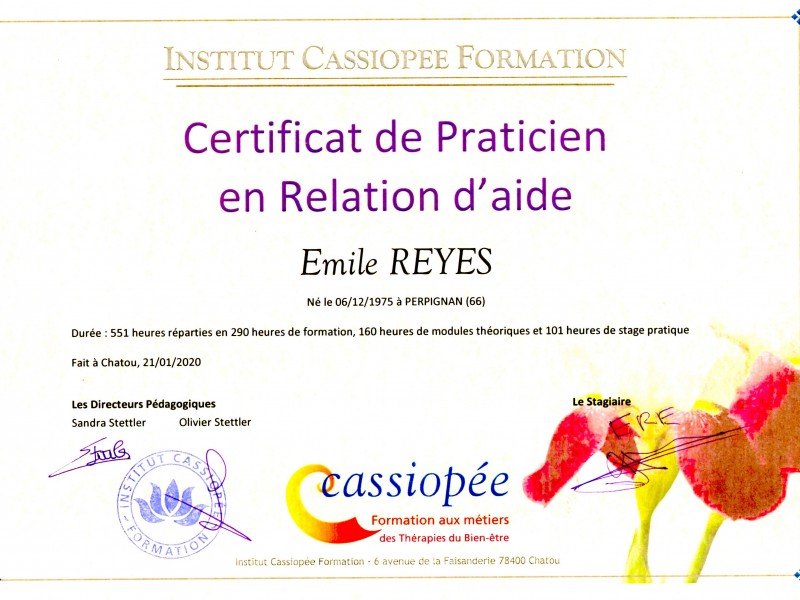 Certificat de Praticien en relation d'aide