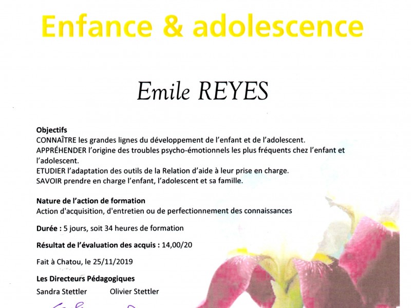 Formation Professionnelle Enfance et Adolescence