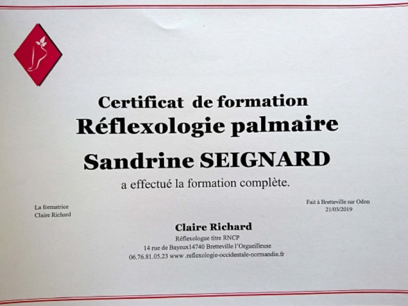 Certificat de réflexologie palmaire