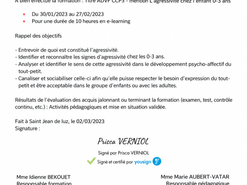 Titre ADVF CCP3 - mention L'agressivité chez l'enfant 0-3 ans