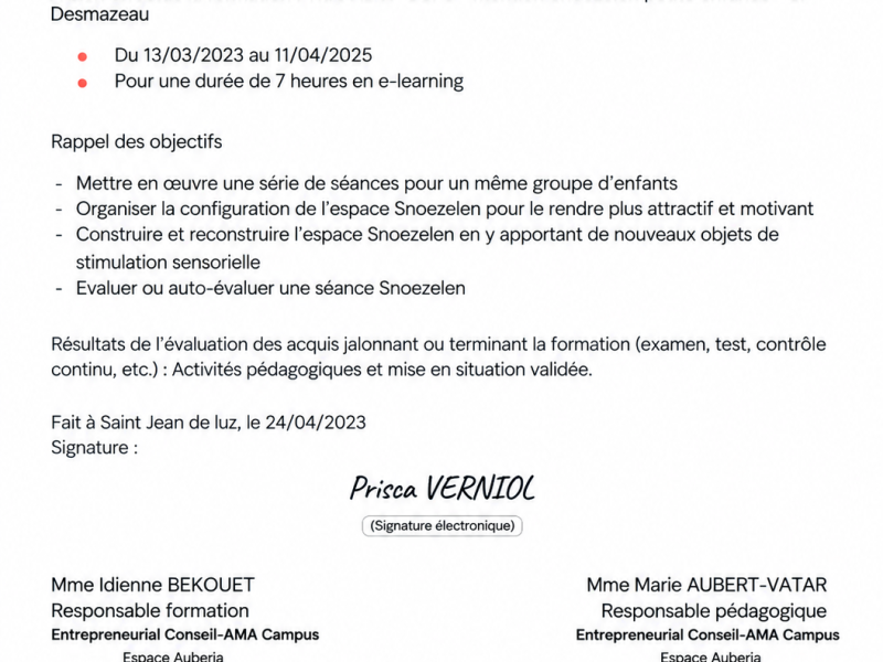 Titre ADVF CCP3 - mention Snoezelen petite enfance