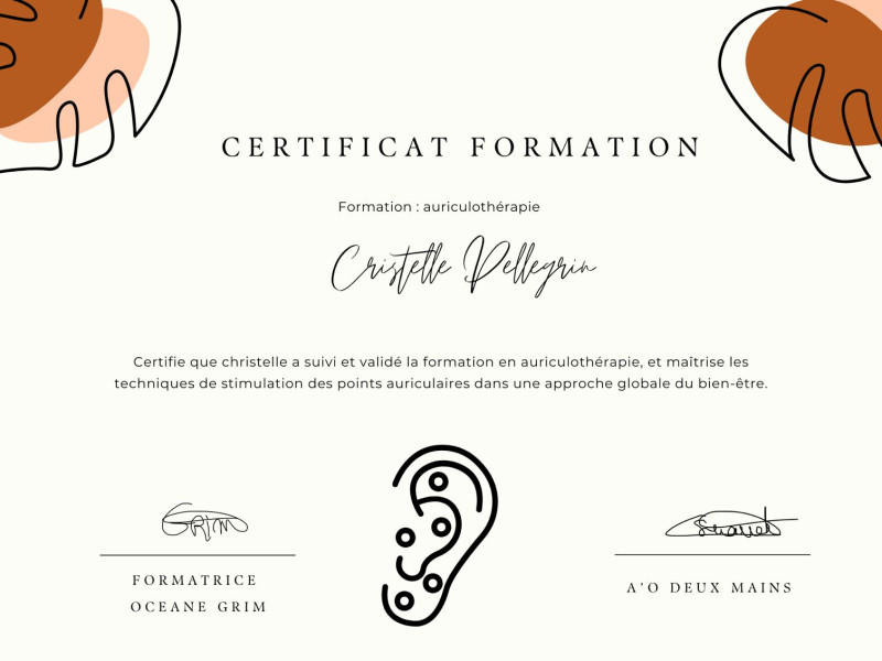 Certificat formation Auriculothérapie