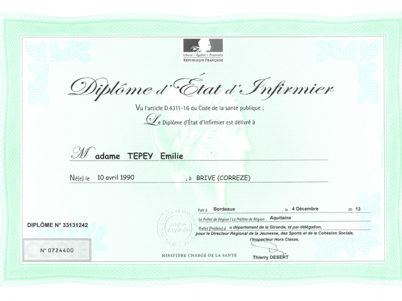 Infirmière Diplômée d'Etat