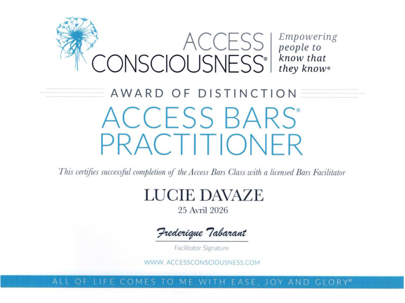 Access consciousness