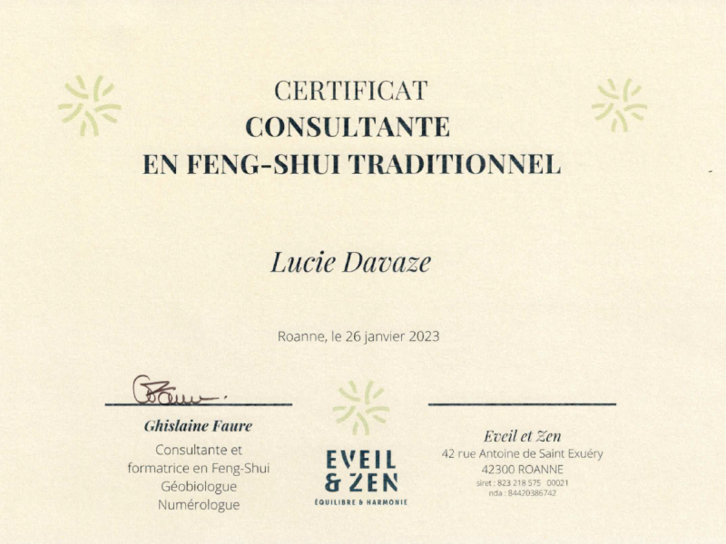 Consultante Feng Shui Traditionnel