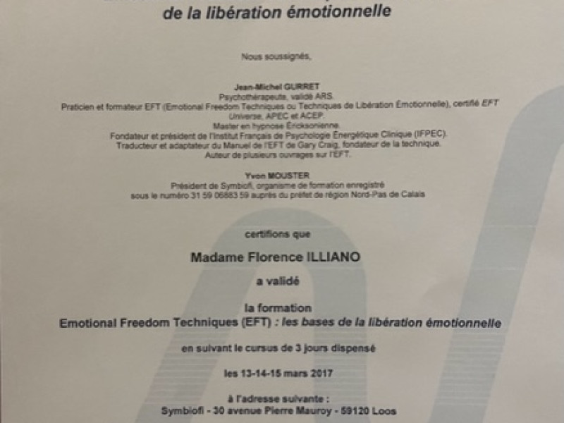 Praticienne en EFT les bases module 1