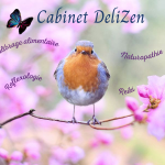 Delphine Pruvost-Aurensan Cabinet DeliZen RDV par téléphone : +33 7 66 27 56 06