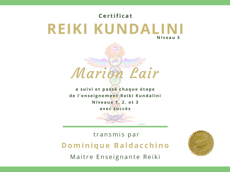 Reiki Kundalini niveau 3